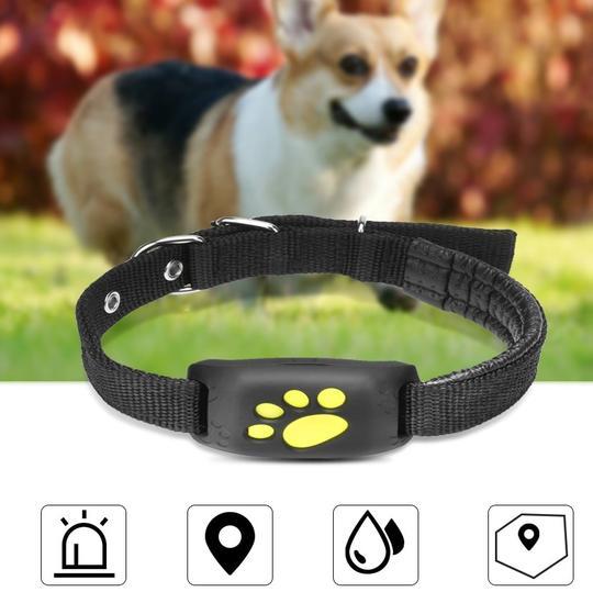 GPS Pet Tracker – Real Time Location & Activity Monitoring