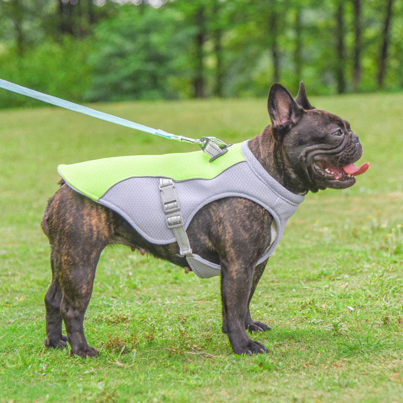 Cooling Dog Vest – Breathable, Heat-Resistant Outdoor Wear